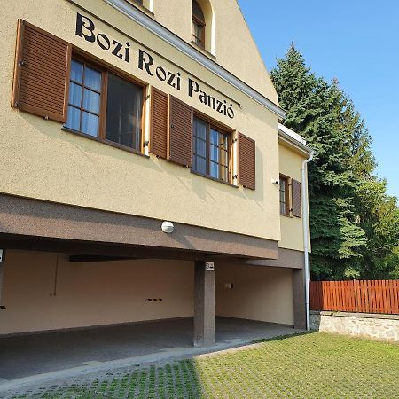 Bozi Rozi Panzio Otel Fertőboz Dış mekan fotoğraf