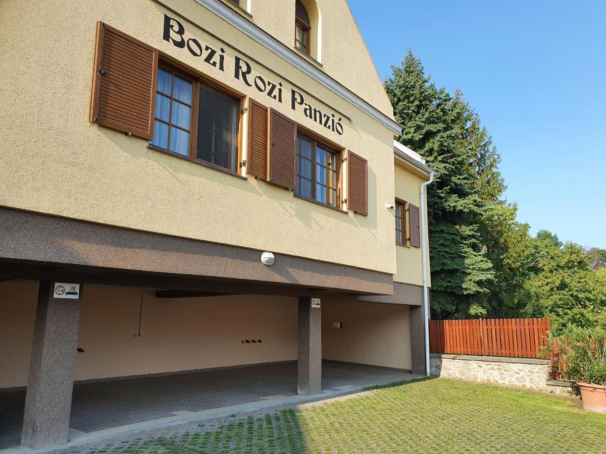 Bozi Rozi Panzio Otel Fertőboz Dış mekan fotoğraf