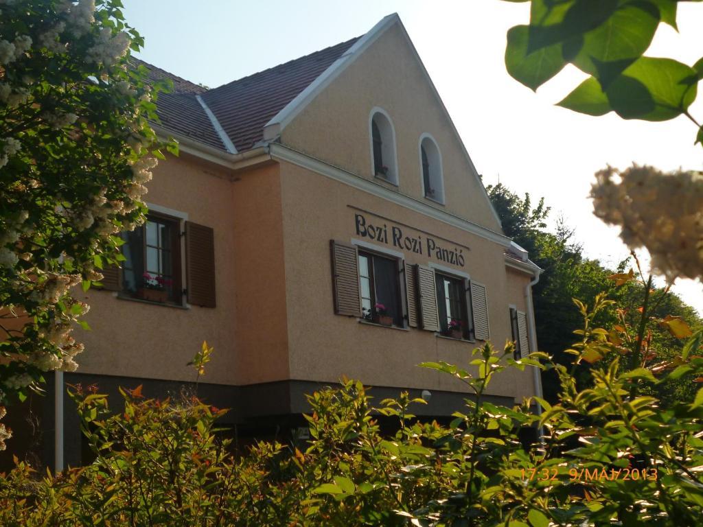 Bozi Rozi Panzio Otel Fertőboz Dış mekan fotoğraf